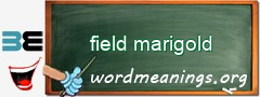 WordMeaning blackboard for field marigold